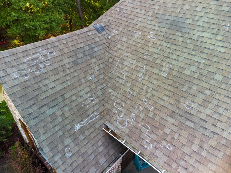 Asphalt Roof Inspection in Bailey, CO