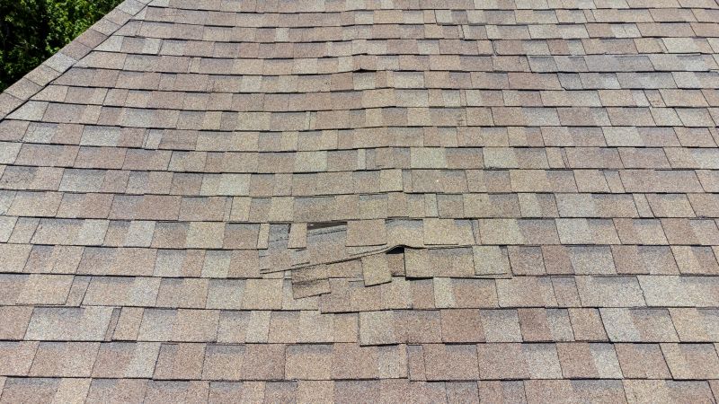 Asphalt Roof Inspection in Littleton, CO