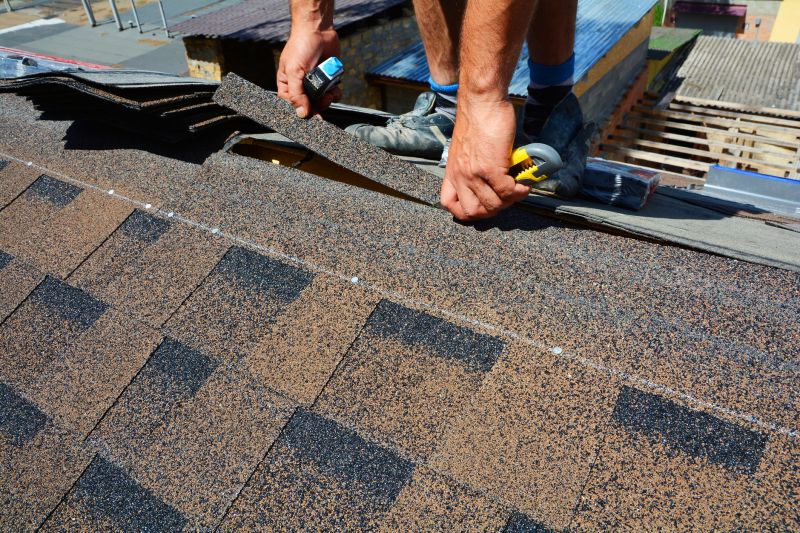 Asphalt Roof Repair in Park County, CO