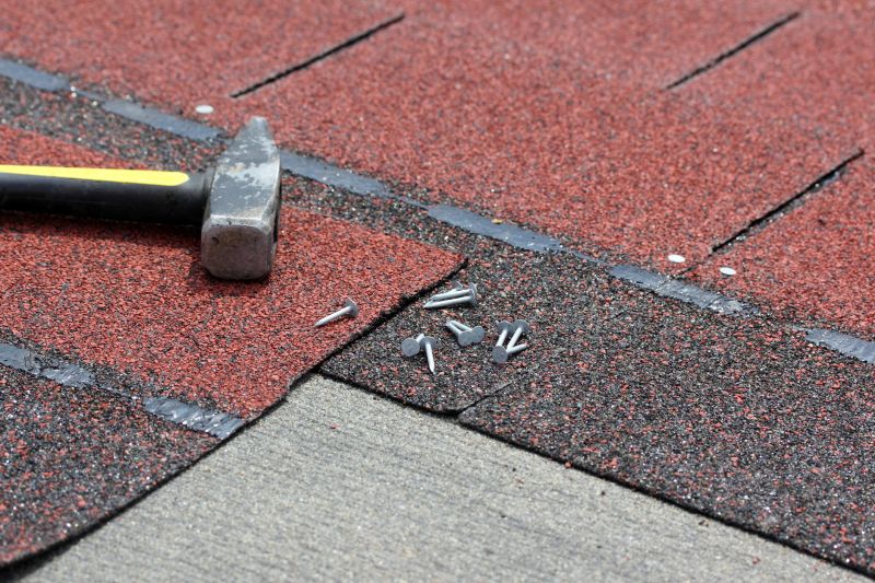 Asphalt Shingles Repair in Bailey, CO