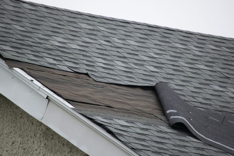 Asphalt Shingles Repair in Parker, CO