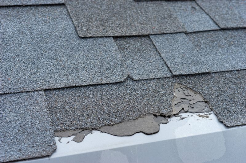 Damaged Roof Repair in Arvada, CO