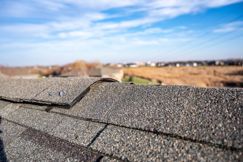 Damaged Roof Repair in Bailey, CO