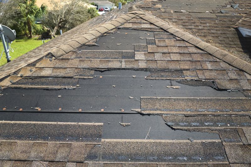 Roof Hail Damage Repair in Jefferson County, CO