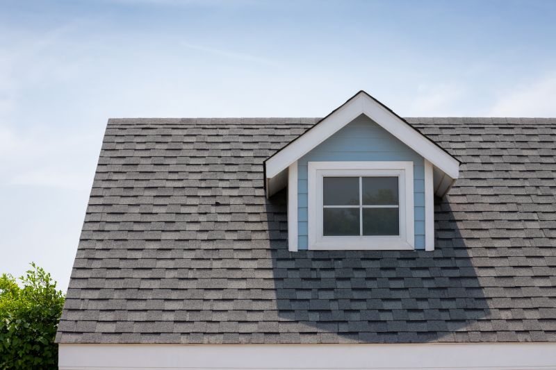 Roof Patching Service in Jefferson County, CO
