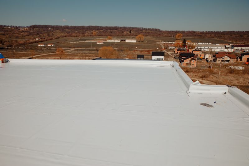 Rubber Roof Repair in Douglas County, CO