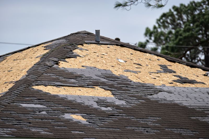 Storm Damage Roof Repair in Bailey, CO