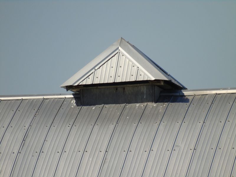 Tin Roof Installation in Arapahoe County, CO