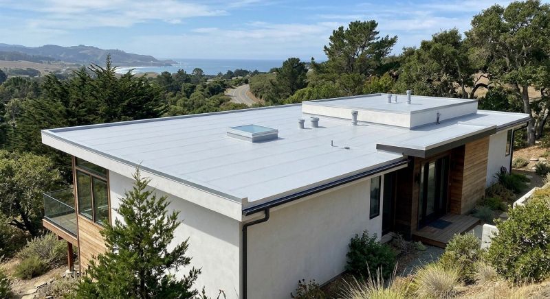 Tpo Roof Installation in Denver County, CO