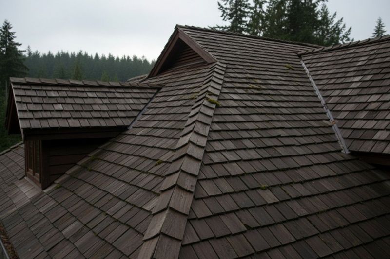Wood Shake Roof Replacement in Bailey, CO